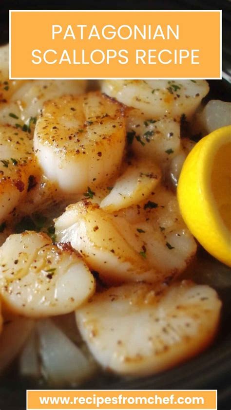 Patagonia Scallops Recipe