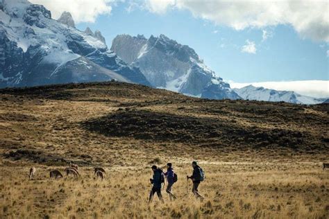 Patagonian experience