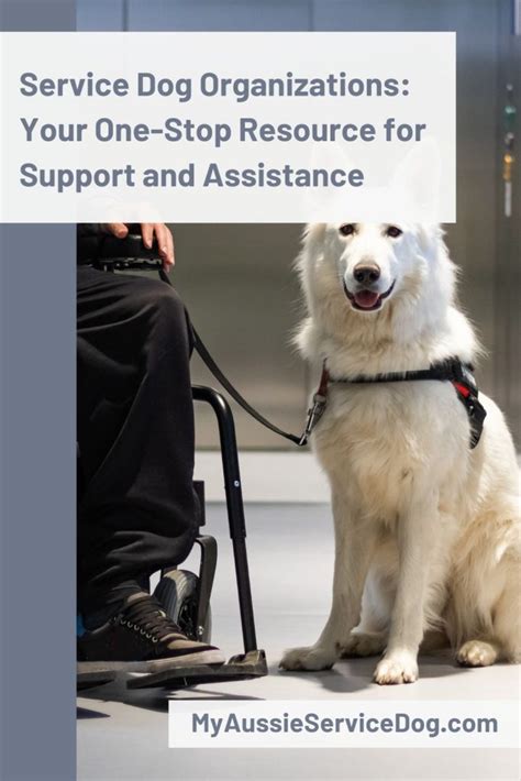 Path 1: Partnering with a Service Dog Organization