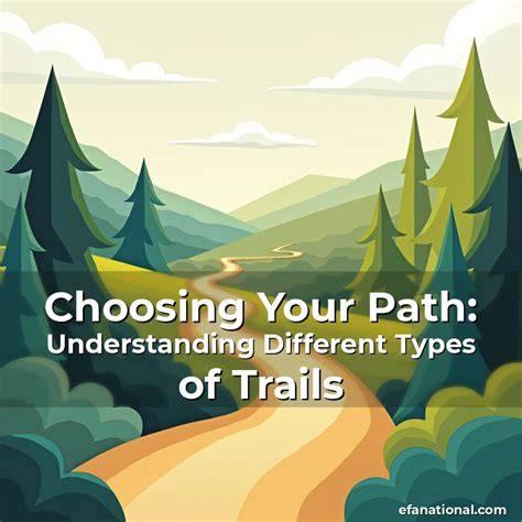 Path to understanding