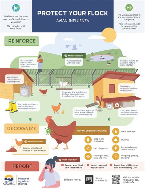 Pathways of Infection in Your Flock
