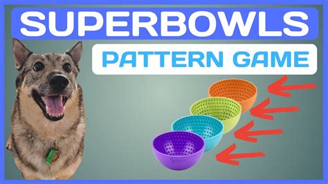 Pattern Games For Dogs