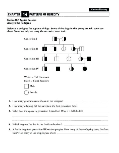 FREE 13+ Sample Patterning Worksheet Templates in PDF MS Word