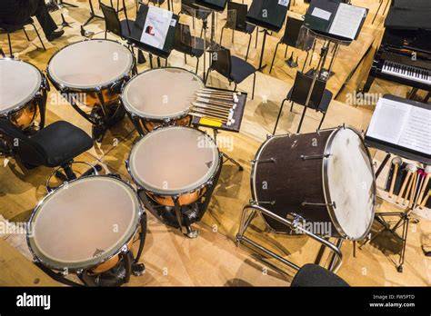 Pauken Orchestra