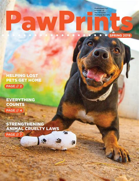 Paw Print Magazine - Your Ultimate Guide to Pet Care