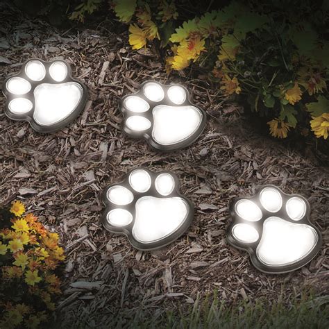 Light up your garden with Paw Print Solar Lights