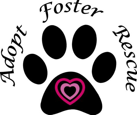 Paw Prints Animal Rescue: Saving Lives One Furry Friend at a Time