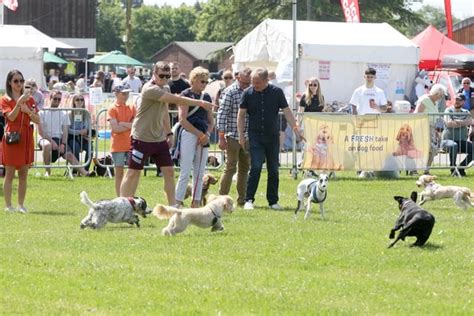 Paws in the Park Ardingly: A Canine Celebration of Furry Fun and Adventures!