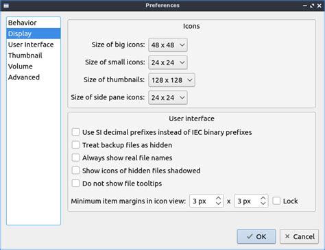 Pcmanfm Cannot Open Display