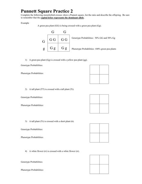 Pea Plant Punnett Square Worksheet Answers