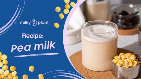 Pea Milk Recipe