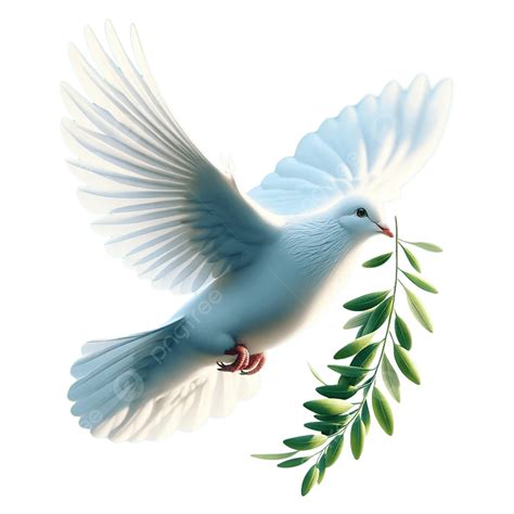 Peace Dove Image