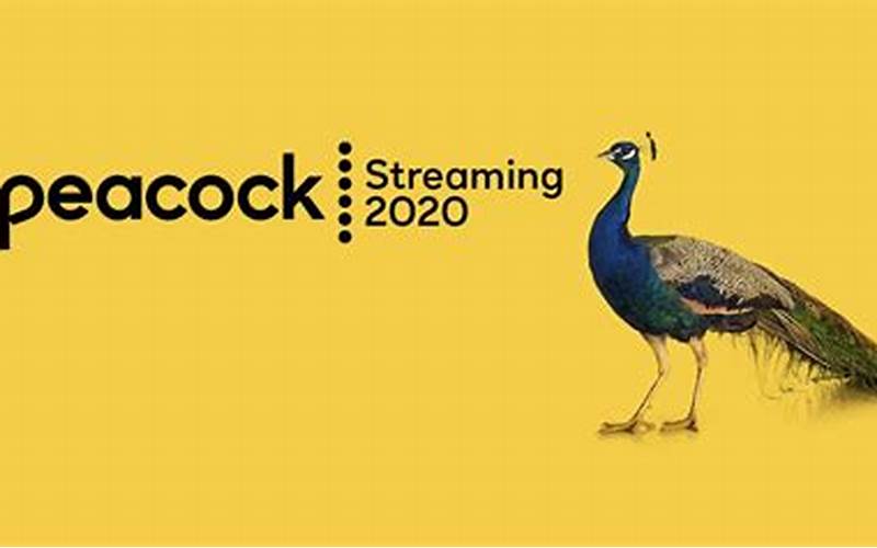 Peacock Streaming App: A Deeper Dive