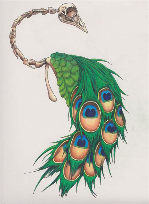 Peacock Tattoo Drawing