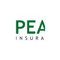 Peak Property and Casualty Insurance