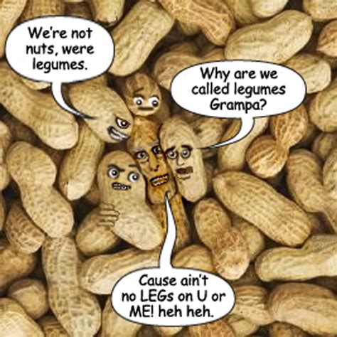 Peanut Jokes