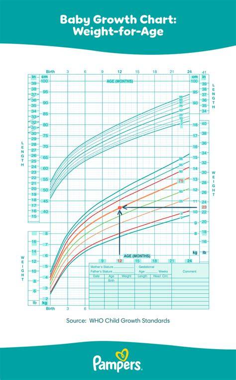 Pediatric Growth Chart Calculator
