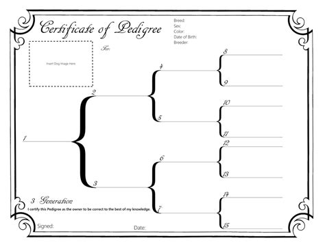 Pedigree Certificate Template Free