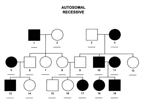 Pedigree Chart Recessive Trait