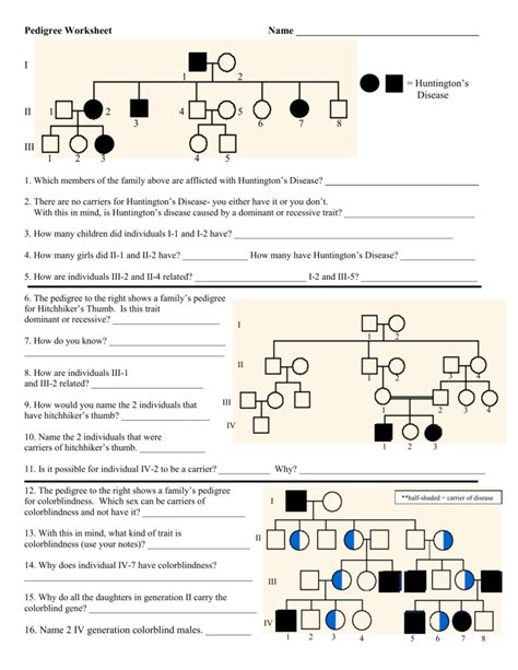 Pedigree Chart Worksheet With Answers