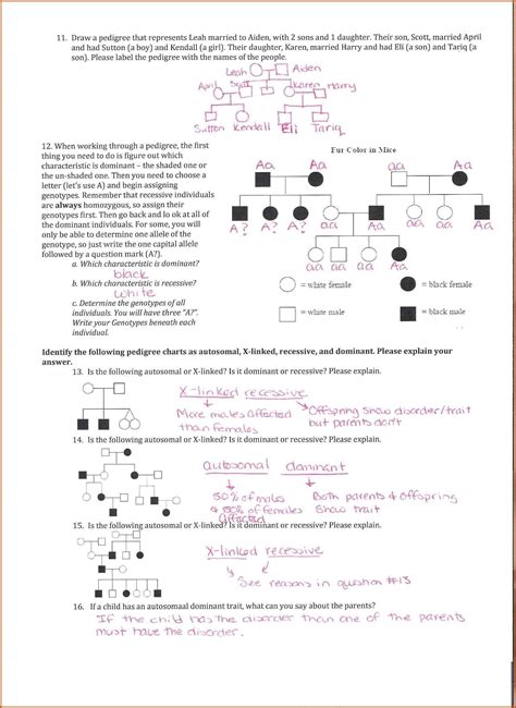 Pedigree Worksheets With Answers