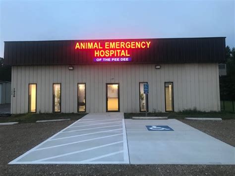 Pee Dee Animal Hospital in Florence, SC: Providing Comprehensive and Compassionate Pet Care Services - A Top-Ranked Veterinary Clinic