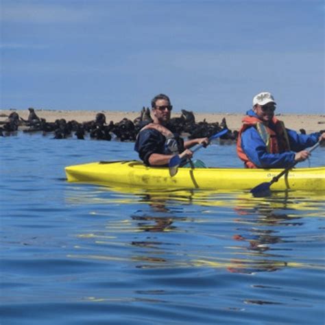 Pelican Point Tour Operator