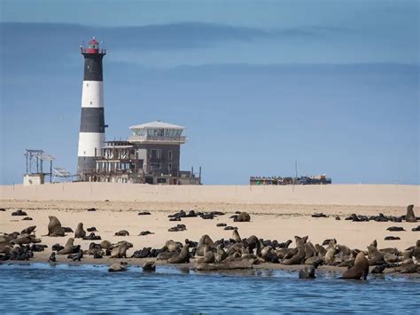 Pelican Point Visit Tips
