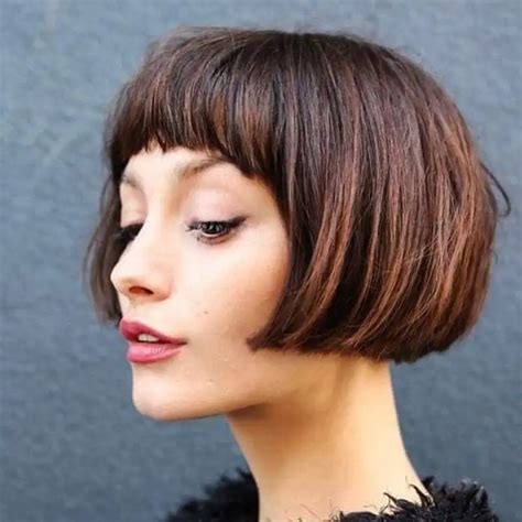 Pelo Corto Liso 2019