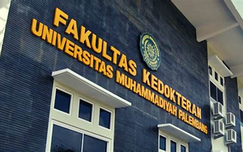 Peluang Kerja Setelah Lulus Dari Program Studi Kedokteran Universitas Muhammadiyah Palembang
