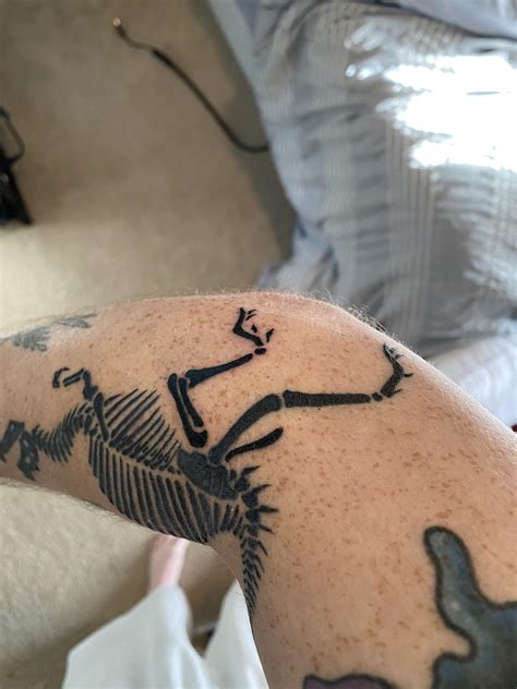Pelvis Bone Tattoo
