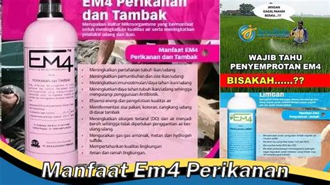Pemanfaatan