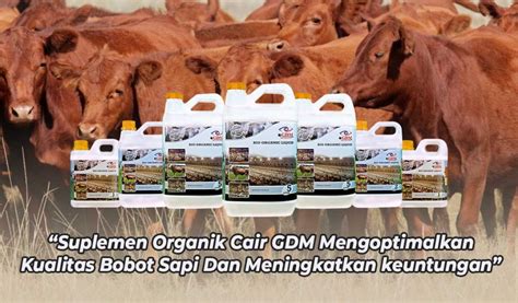 Pemasaran