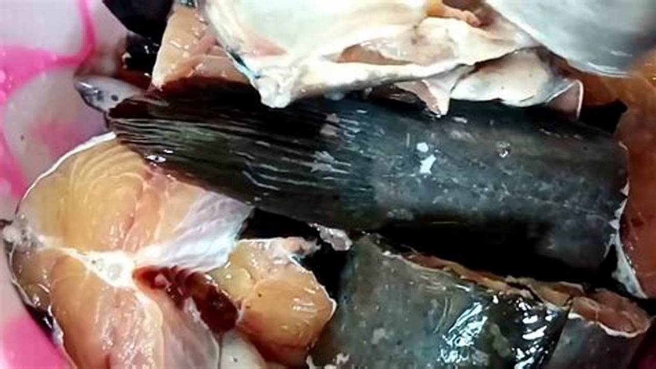 Pembersihan Ikan, Resep6-10k