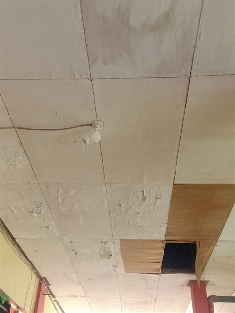 Pemeliharaan plafond