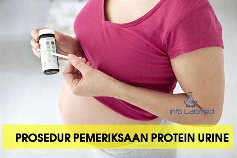 Pemeriksaan Protein Urine pada Ibu Hamil