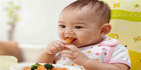 Pemilihan Makanan Ringan Bayi 1 Tahun