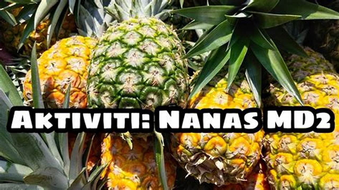 Pemilihan Nanas, Resep6-10k