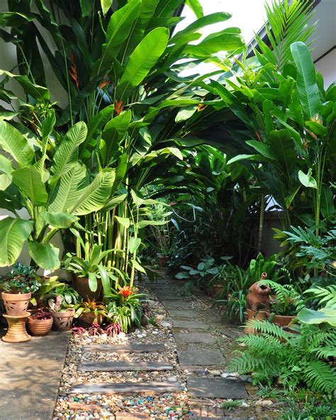 Ilustrasi penanaman tanaman taman tropis
