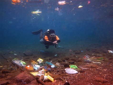 Pencemaran Laut di Indonesia