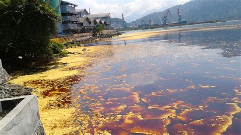 Pencemaran Lingkungan di Indonesia