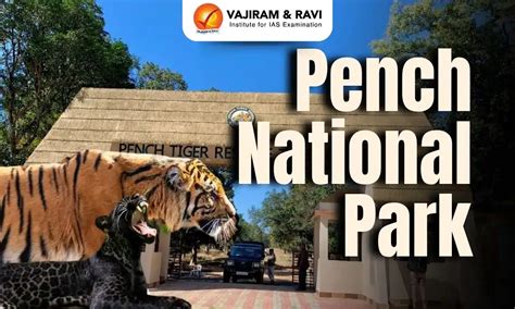 Pench National Park Climate