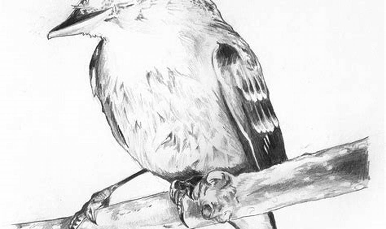 Pencil Sketch Drawing Birds: A Guide for Beginners