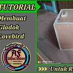 Pendahuluan tutorial membuat glodok lovebird.