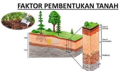 Pengaruh Iklim dalam Pembentukan Tanah Adalah