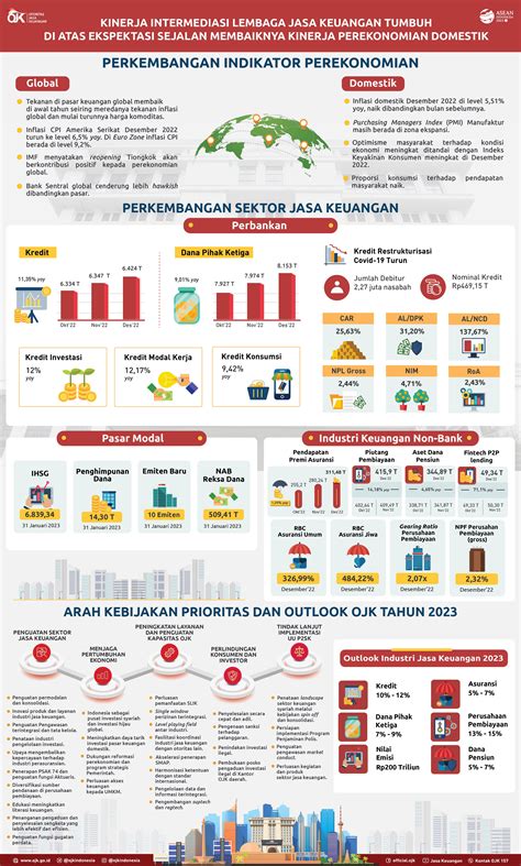 Pengawas Keuangan di Indonesia