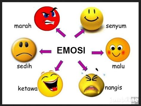 Pengenalan emosi pengguna