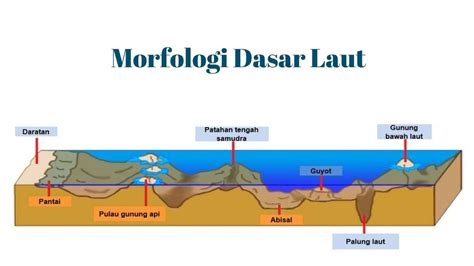 Pengertian Dari Seamount
