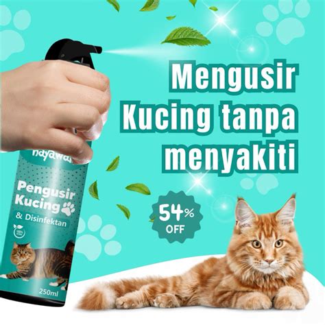 Pengusir Kucing Alami