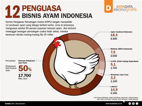 Peningkatan Produksi Ayam DOC di Indonesia